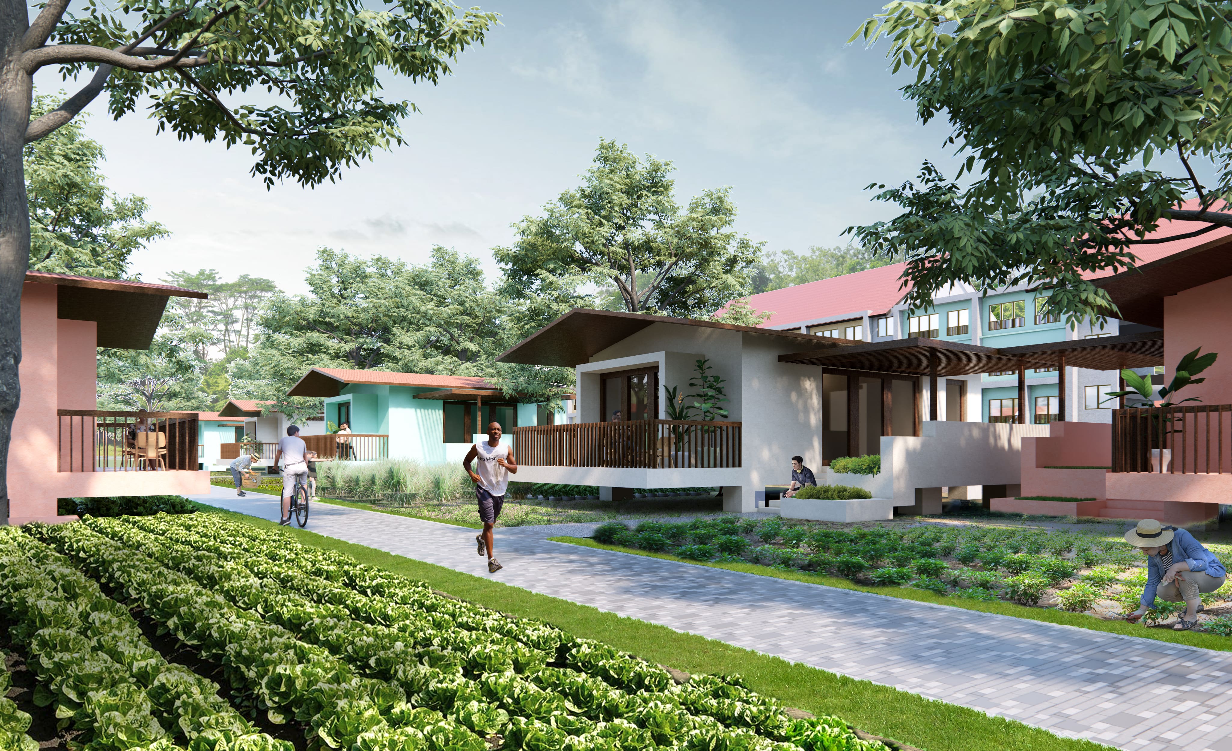 Photo caption: Urban farming within the planned New Clark City housing development will create an opportunity to integrate locally sourced food within the community and improve environmental sustainability. Artist render from consulting firm Broadway Malyan.